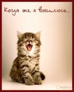 Прикрепленное изображение: 2452433_118217731041586.jpg