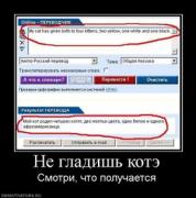 Прикрепленное изображение: 690919_ne_gladish_kote.thumbnail.jpg