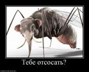 Прикрепленное изображение: 117002_tebe_otsosat.jpg