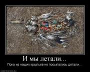 Прикрепленное изображение: 93780_i_myi_letali.jpg