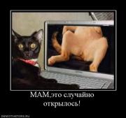 Прикрепленное изображение: 257090_mameto_sluchajno_otkryilos.jpg