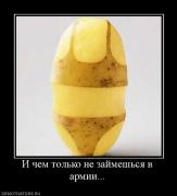 Прикрепленное изображение: 949088_i_chem_tolko_ne_zajmeshsya_v_armii.jpg
