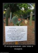 Прикрепленное изображение: 776651_ya_ostorozhnenko_mne_tesche_v_podarok_.jpg