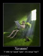 Прикрепленное изображение: 956923_hozyain.jpg