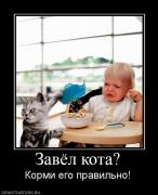 Прикрепленное изображение: 85608_zavyol_kota.jpg