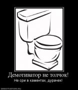 Прикрепленное изображение: 949935_demotivator_ne_tolchok.jpg