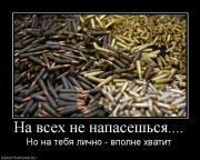 Прикрепленное изображение: 178489_na_vseh_ne_napaseshsya.jpg