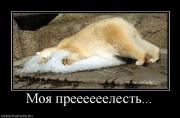 Прикрепленное изображение: 164880_moya_preeeeeelest.jpg