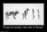 Прикрепленное изображение: 792259_sudya_po_vsemu_tak_ono_i_byilo.thumbnail.jpg