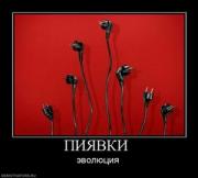 Прикрепленное изображение: 145064_piyavki_.thumbnail.jpg