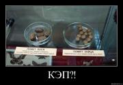 Прикрепленное изображение: moec1kxwq2vl.jpg
