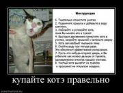Прикрепленное изображение: 137015_kupajte_kote_pravelno.thumbnail.jpg