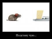 Прикрепленное изображение: 1132918L.jpg