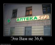 Прикрепленное изображение: 11342435.jpg