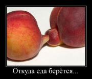 Прикрепленное изображение: 1136736C.jpg