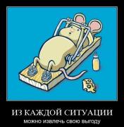 Прикрепленное изображение: 10989816.jpg