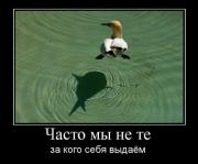 Прикрепленное изображение: 1136734Z.jpg
