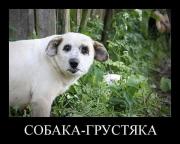 Прикрепленное изображение: 112427AT.jpg
