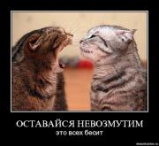 Прикрепленное изображение: 0_2a106_24b41fd1_L.jpg
