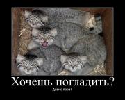 Прикрепленное изображение: 0000z0bk.jpg