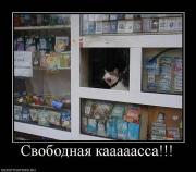 Прикрепленное изображение: x_7a9c25e8.jpg