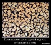 Прикрепленное изображение: 1255682911_demotivators_07.jpg
