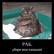 Прикрепленное изображение: 302447.jpg