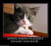 Прикрепленное изображение: x_0d3fe464.jpg