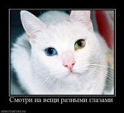 Прикрепленное изображение: 281292_smotri_na_veschi_raznyimi_glazami.jpg