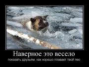 Прикрепленное изображение: demotivatori_45.jpg