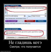 Прикрепленное изображение: 690919_ne_gladish_kote.jpg