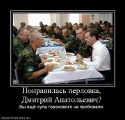 Прикрепленное изображение: 153441_ponravilas_perlovka_dmitrij_anatolevich.jpg
