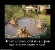 Прикрепленное изображение: 533794_chelyabinskij_sup_iz_tigrov.jpg