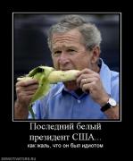 Прикрепленное изображение: 128327_poslednij_belyij_prezident_ssha.jpg