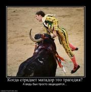 Прикрепленное изображение: 602408_kogda_stradaet_matador_eto_tragediya.jpg