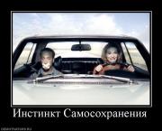 Прикрепленное изображение: 711908_instinkt_samosohraneniya.jpg