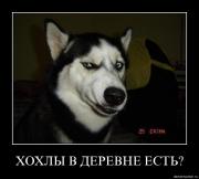 Прикрепленное изображение: h7r62on0agxt.jpg