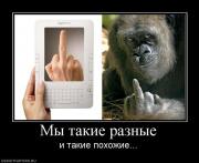 Прикрепленное изображение: 146837_myi_takie_raznyie.jpg