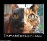 Прикрепленное изображение: 839453_podgorelyij_shaurma_eto_ploho.jpg