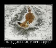 Прикрепленное изображение: 61473_obedinenie_s_prirodoj.jpg