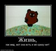 Прикрепленное изображение: 984605_zhizn.jpg