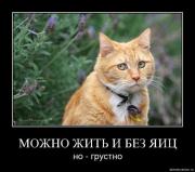 Прикрепленное изображение: x_8e64760d.jpg
