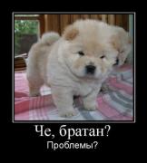 Прикрепленное изображение: x_b7c21f07.jpg