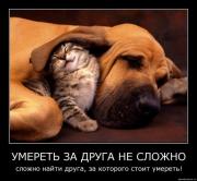 Прикрепленное изображение: x_87ba2d89.jpg
