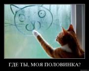 Прикрепленное изображение: u8q4cy3wpini.jpg