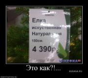 Прикрепленное изображение: 1__14_.jpg