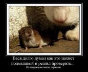 Прикрепленное изображение: 1139450J.jpg