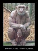 Прикрепленное изображение: 10816161.jpg