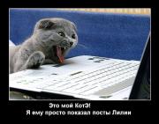 Прикрепленное изображение: ____.JPG