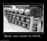 Прикрепленное изображение: 11041516.jpg